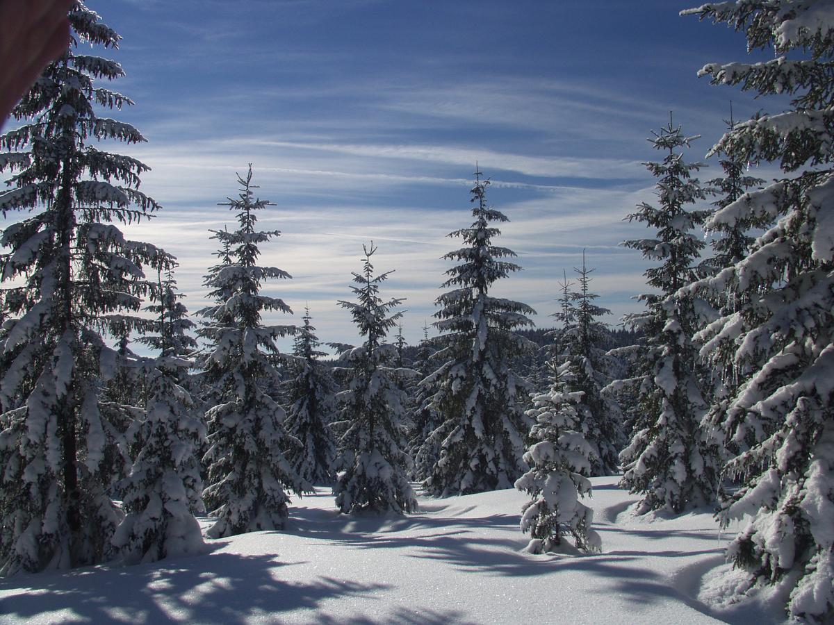 Penzion U Candru Vyšší Brod Exterior foto